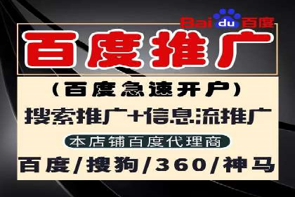 深度剖析：百度竞价推广代运营在某电商平台的成功实践